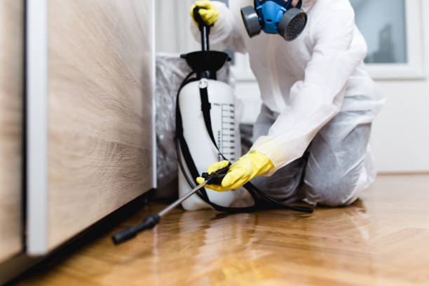 Best Rat Extermination Near Me  in Burnt Mills, MD