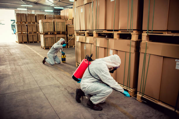 Best Mosquito Control Services  in Burnt Mills, MD