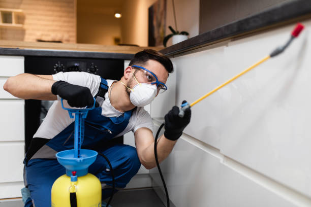 Best Wasp Removal Services  in Burnt Mills, MD