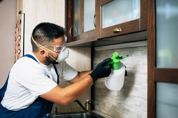Pest Control for Restaurants in Burnt Mills, MD