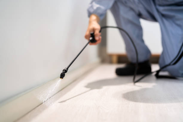 Professional Pest Control in Burnt Mills, MD