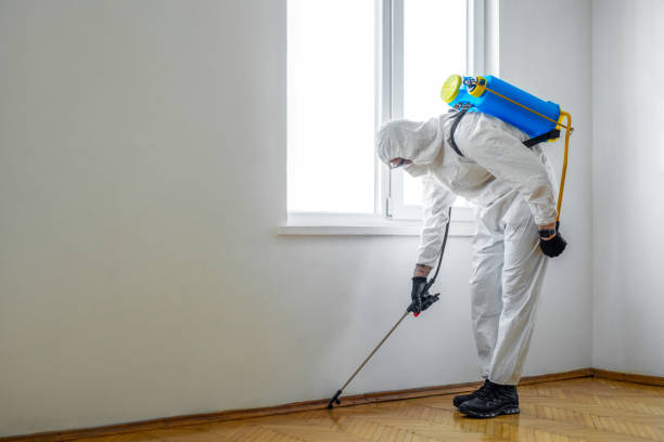 Best Local Pest Control Services  in Burnt Mills, MD