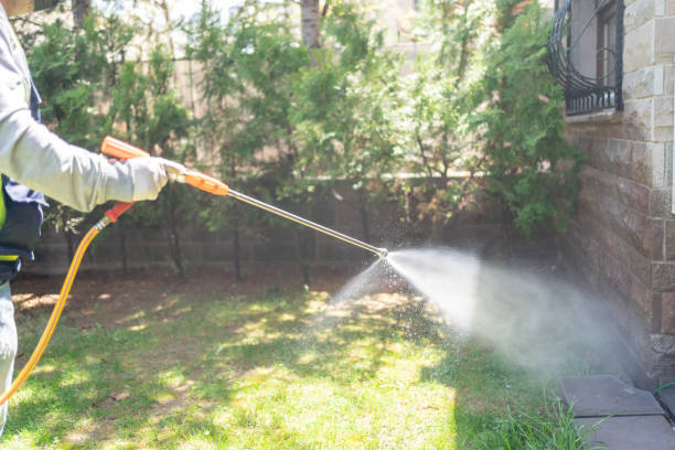 Best Pest Control Near Me  in Burnt Mills, MD
