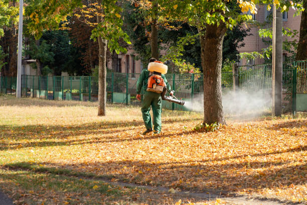 Best Cockroach Control Services  in Burnt Mills, MD