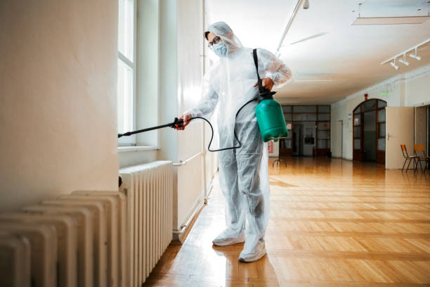Best Pest Prevention Services  in Burnt Mills, MD