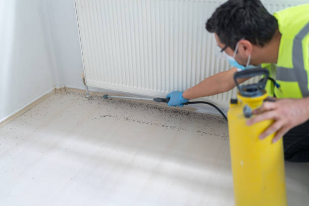Best Affordable Pest Control Services  in Burnt Mills, MD